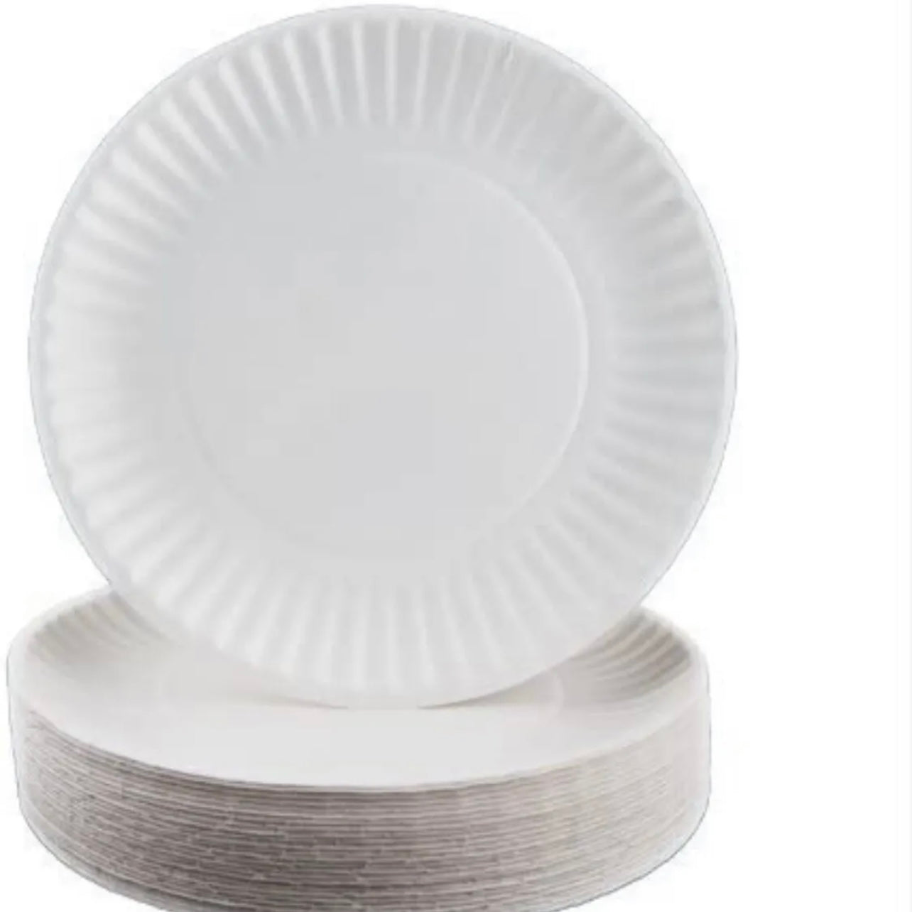 9 in Everyday Disposable Paper Plates Uncoated Party 100 or 200 Plate Made in US