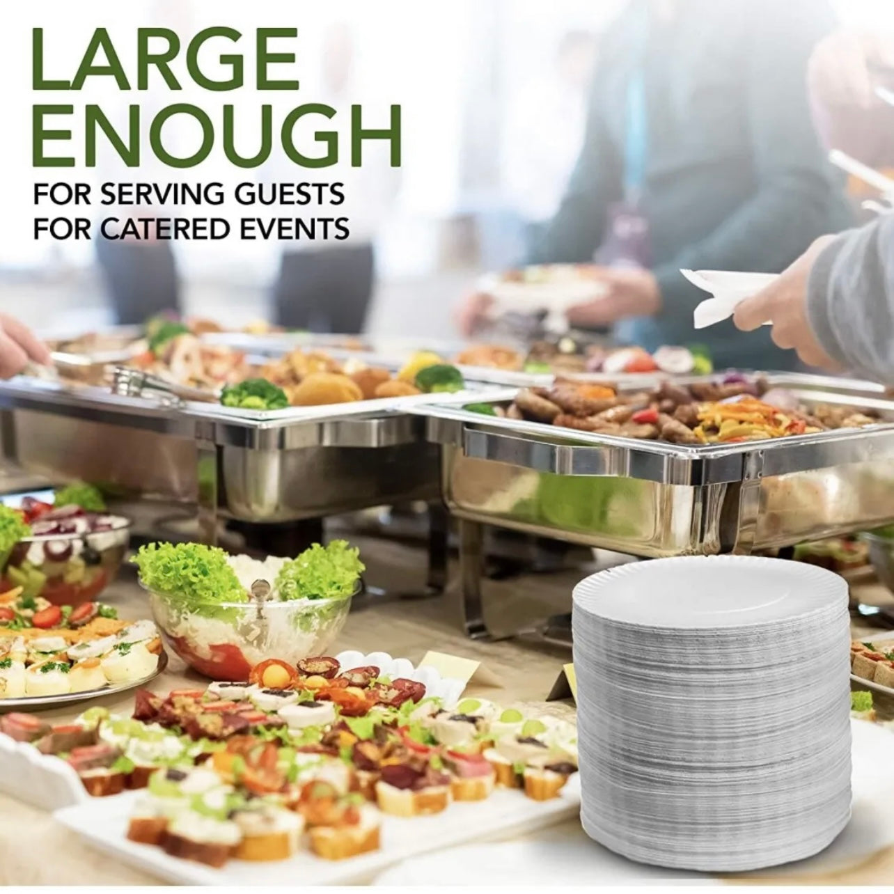 9 in Everyday Disposable Paper Plates Uncoated Party 100 or 200 Plate Made in US
